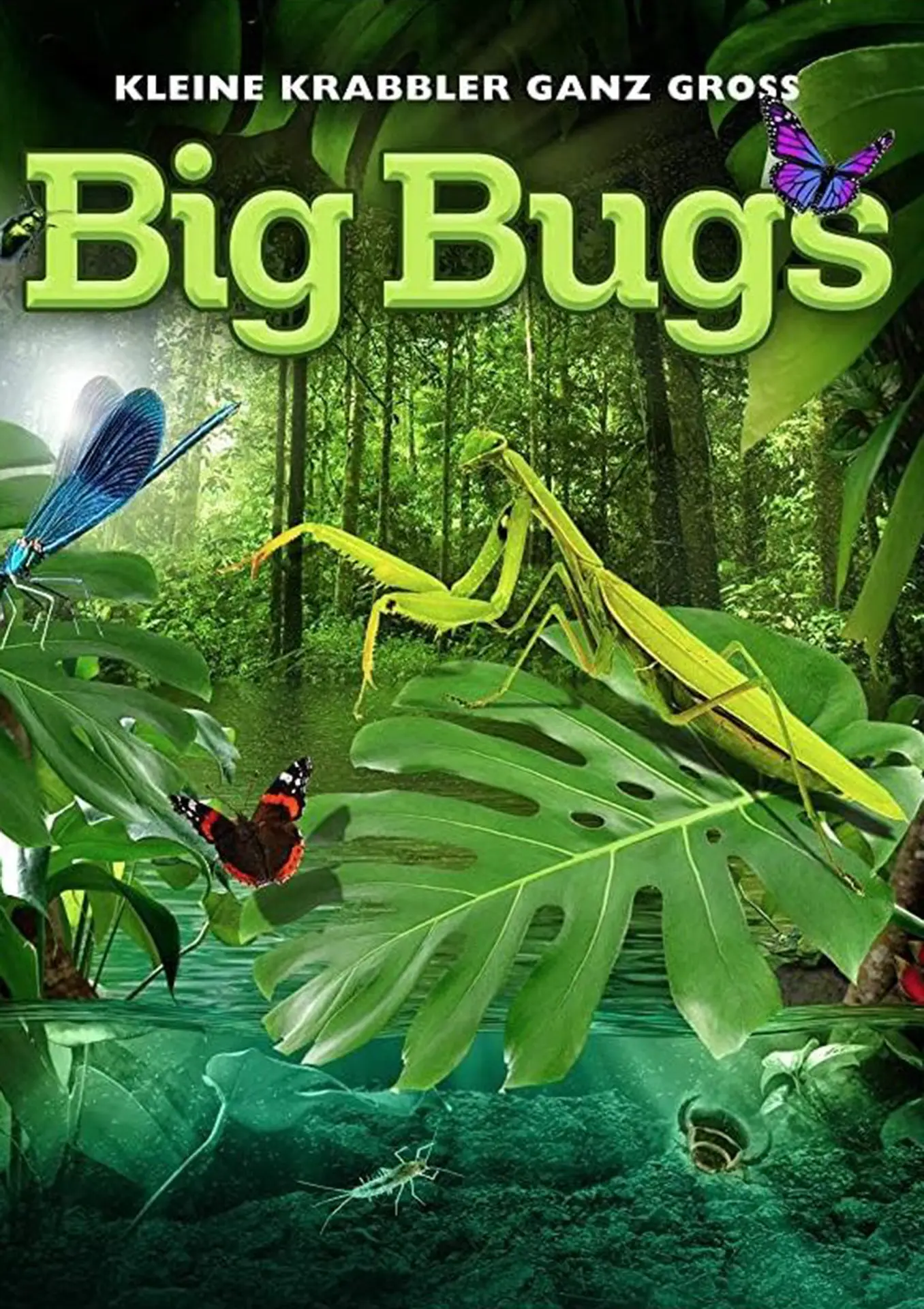 Plakat Big Bugs